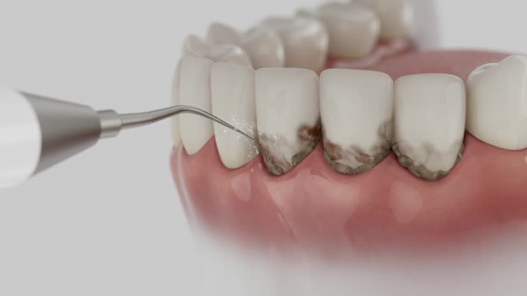 Reliable Dental contractor in Burley, WA by Dentist Open Now